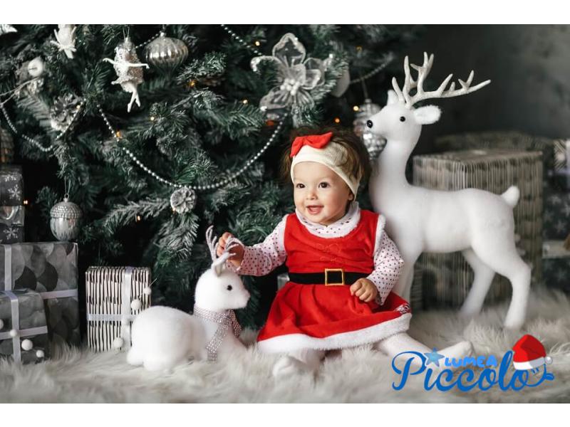 Craciunul pentru echipa Lumea Piccolo