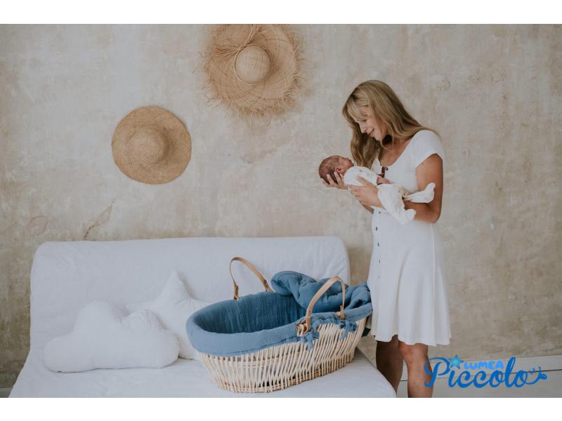 Moses Basket siguranta si beneficii